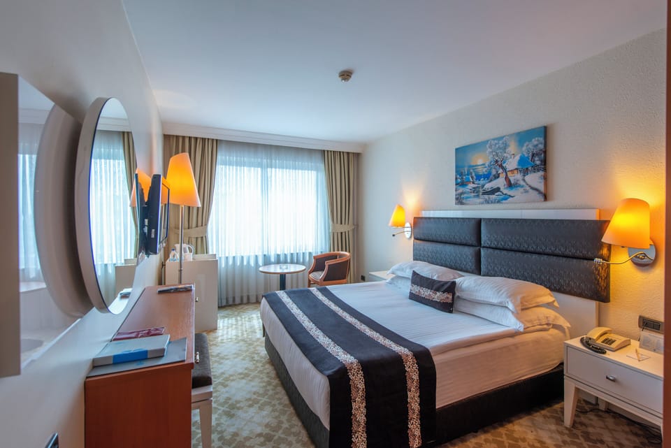 Standard Double Room, City View | Minibar, in-room safe, free cribs/infant beds, free WiFi