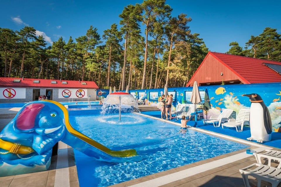 House | Pool | Outdoor pool