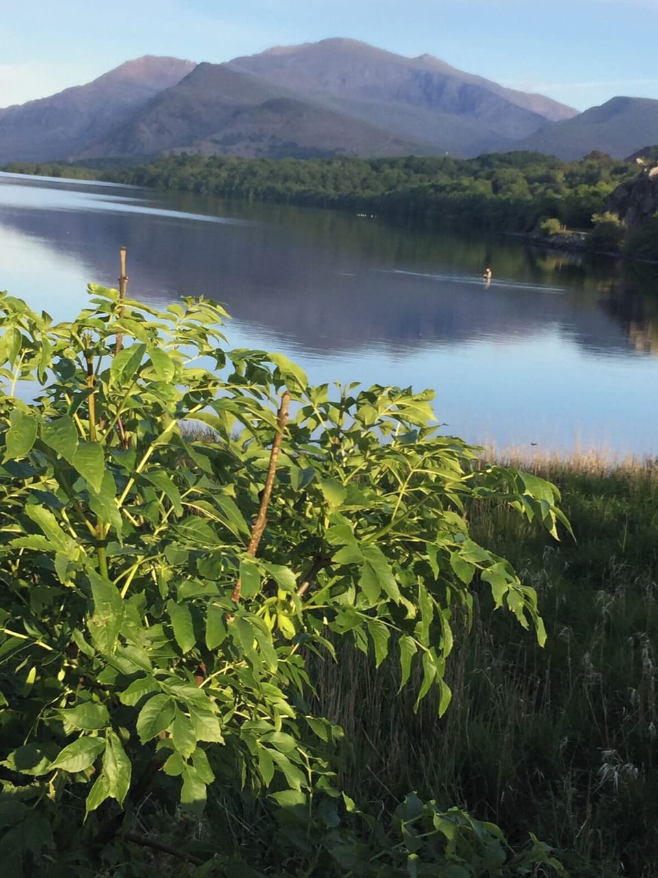 Paddle board and Kayak hire at Llyn padarn