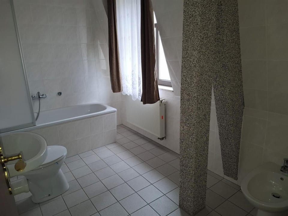 Apartment | Bathroom | Shower, hair dryer, towels, soap