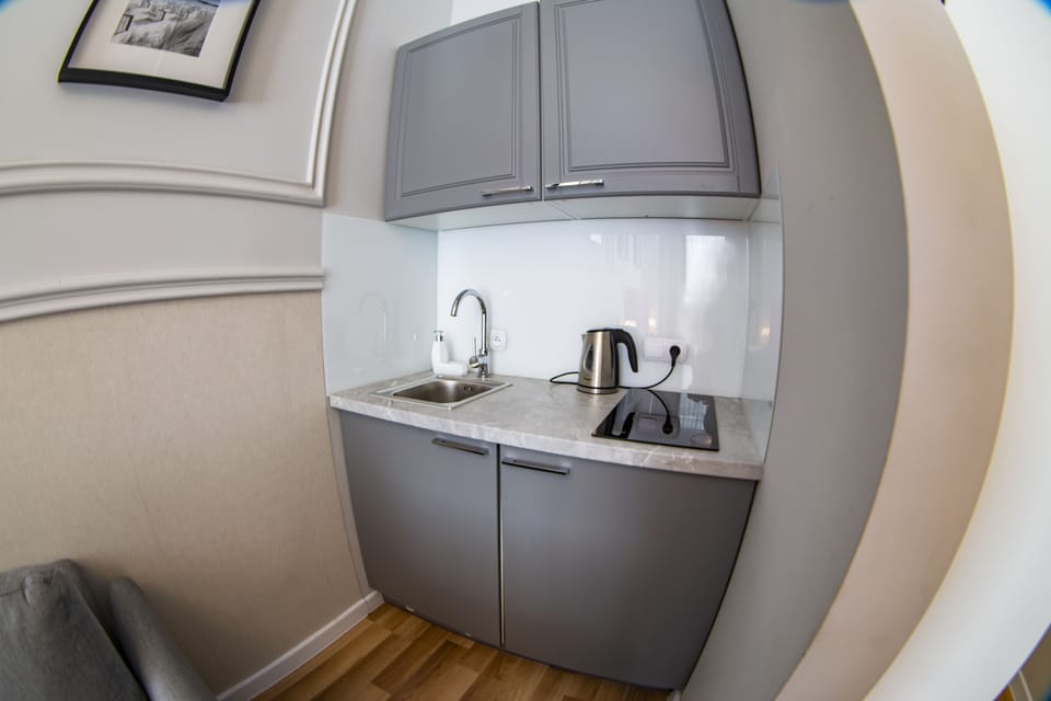 Standard Double Room, Kitchenette | Private kitchenette | Mini-fridge, stovetop, coffee/tea maker, electric kettle