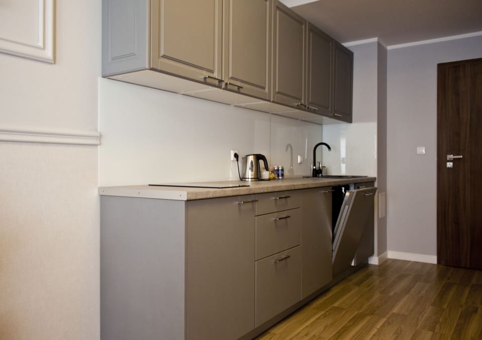 Deluxe Double Room | Private kitchenette | Mini-fridge, stovetop, coffee/tea maker, electric kettle