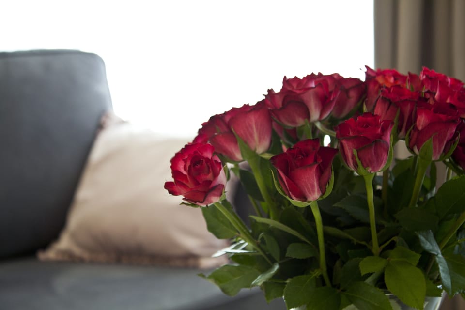 Deluxe Double Room | Premium bedding, laptop workspace, iron/ironing board, free WiFi