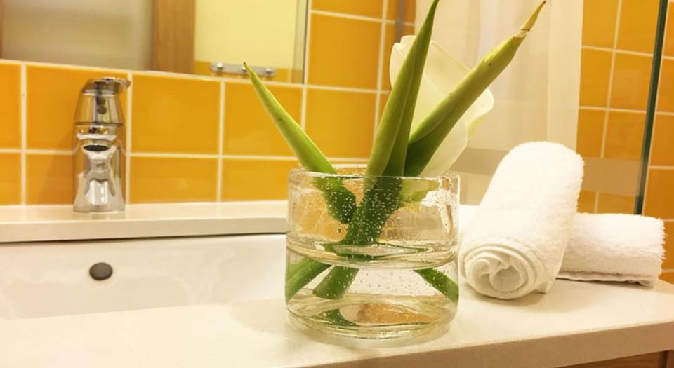 Double Room (Bossa Nova) | Bathroom | Shower, free toiletries, hair dryer, towels