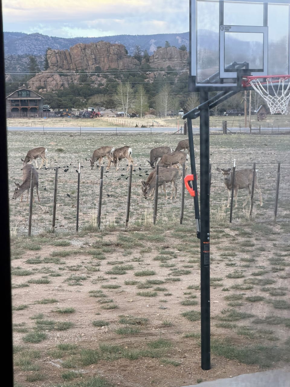 Basketball hoop 