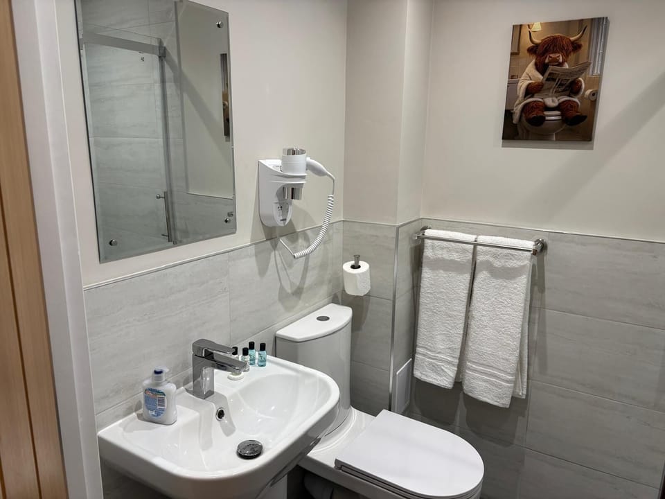 Standard Double Room | Bathroom | Free toiletries, hair dryer, towels, soap