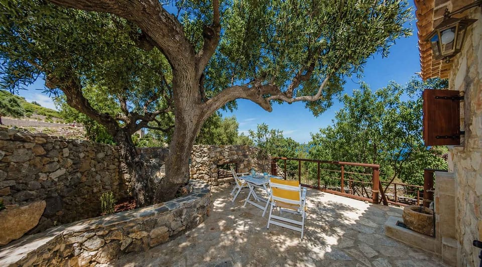 Stone Pathway Entrance Under Olive Trees