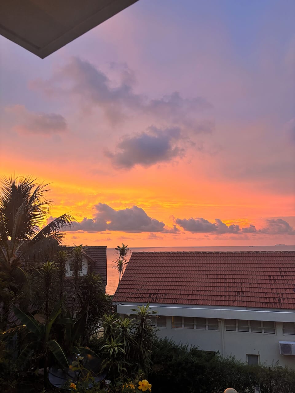 View from room