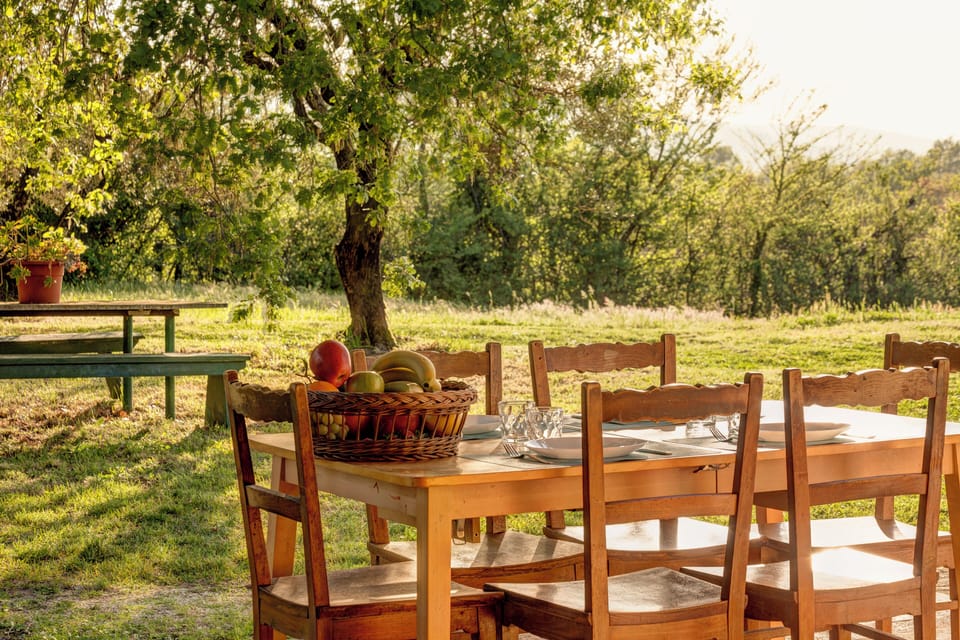 House, Courtyard View | Outdoor dining