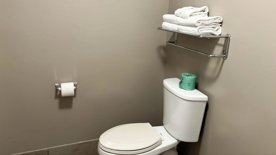 Separate tub and shower, hair dryer, towels, toilet paper