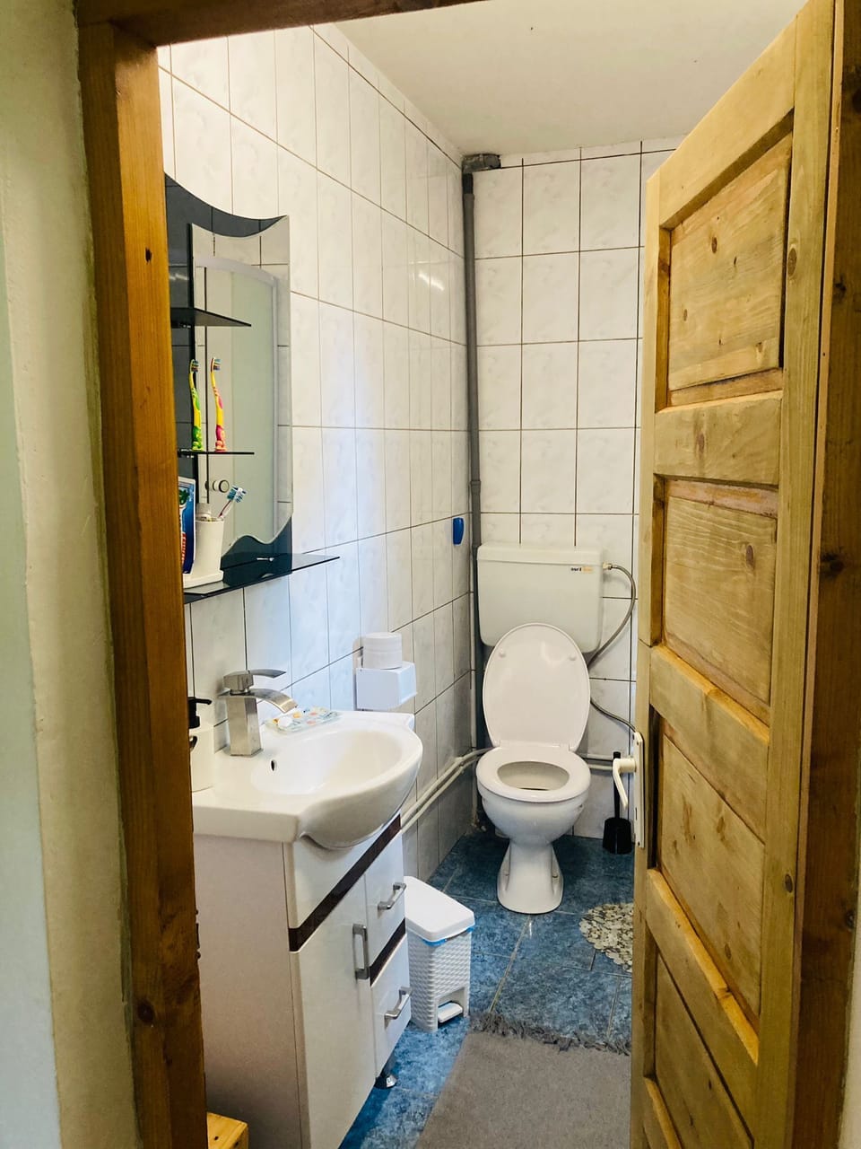indoor, toilet