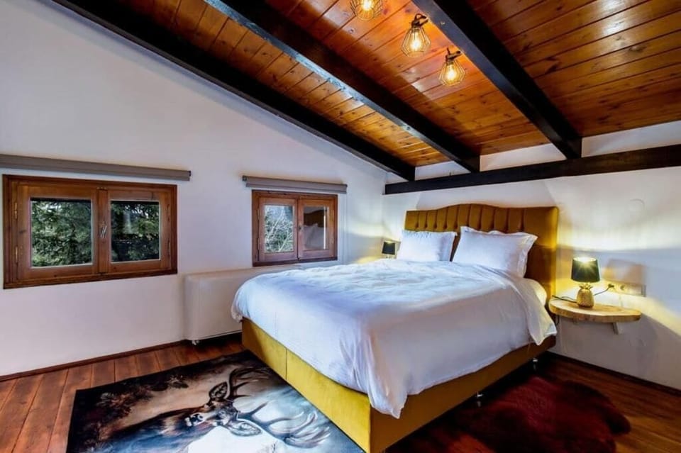 Deluxe Suite | Egyptian cotton sheets, premium bedding, individually decorated