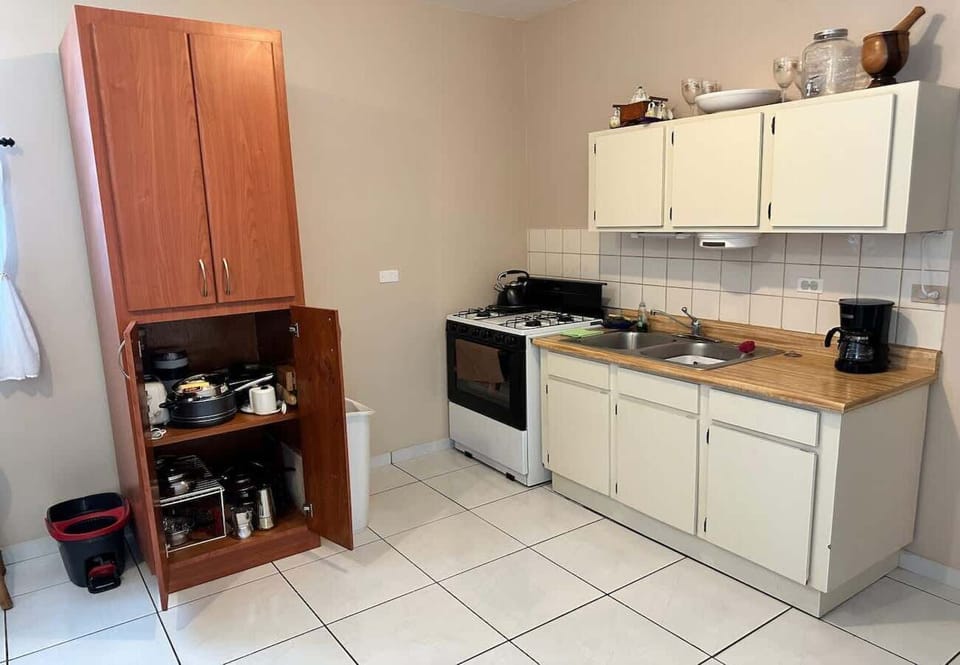 Apartment, Patio | Private kitchen