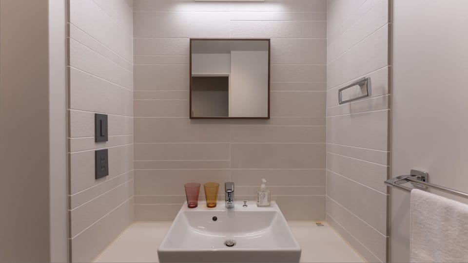 Hair dryer, soap, shampoo