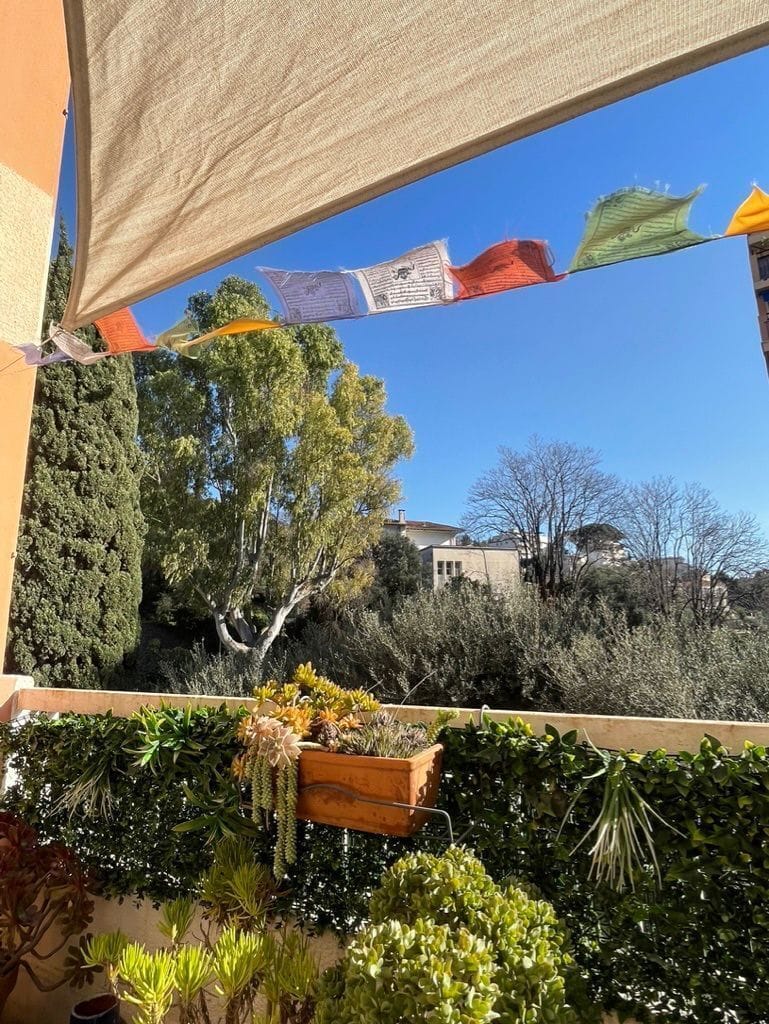 View from property