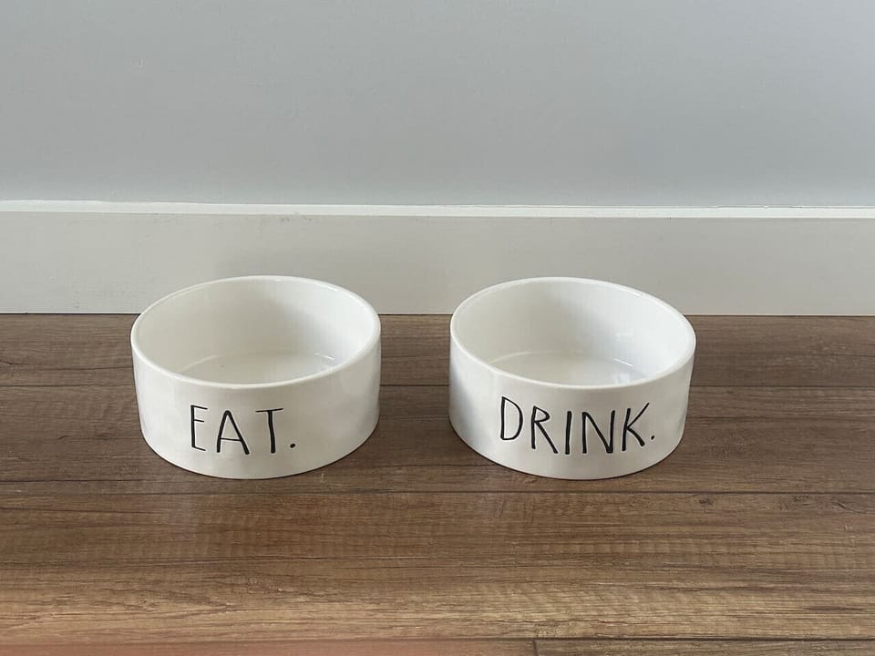Furry friends food and water dish.