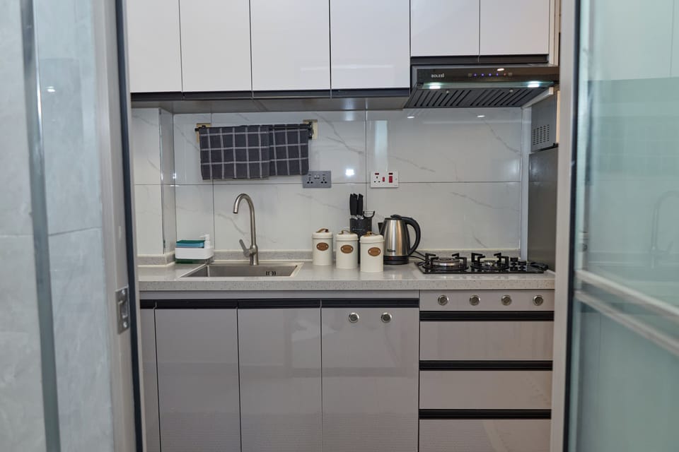 Apartment, City View | Private kitchen | Full-size fridge, microwave, oven, stovetop