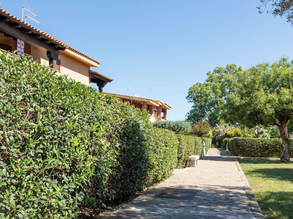 Shrub, Hedge, Garden, Woody Plant, Shade, Landscaping, Plantation, Walkway, Botanical Garden