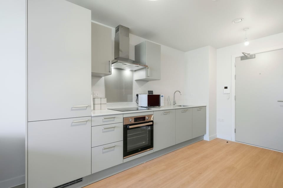 Luxury Apartment, 1 King Bed with Sofa bed, Non Smoking, Kitchenette | Private kitchen | Full-size fridge, microwave, dishwasher, cookware/dishes/utensils