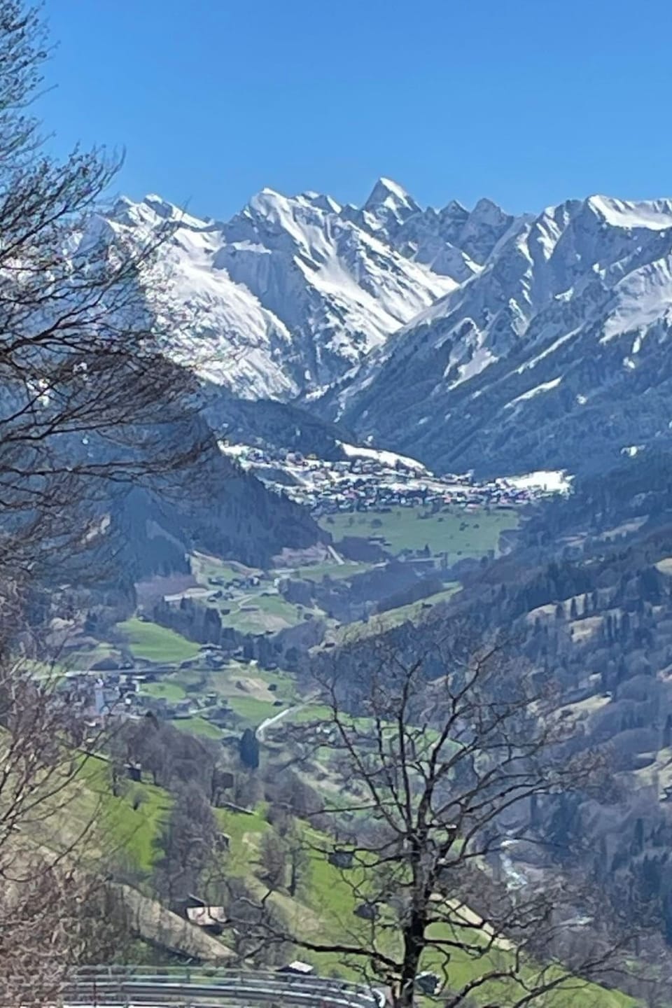 View