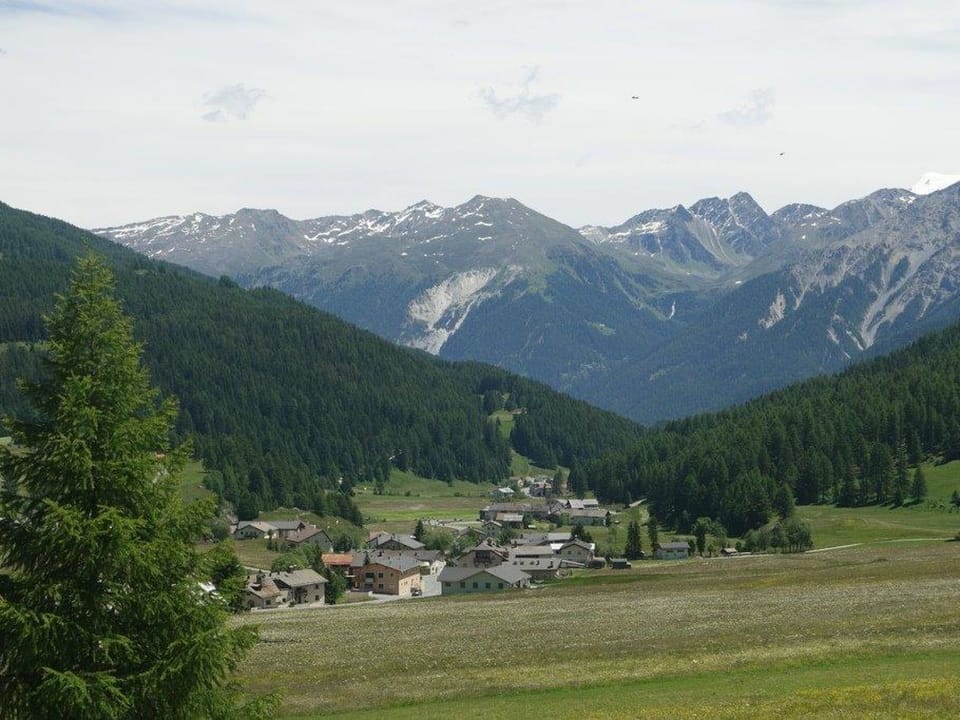 View