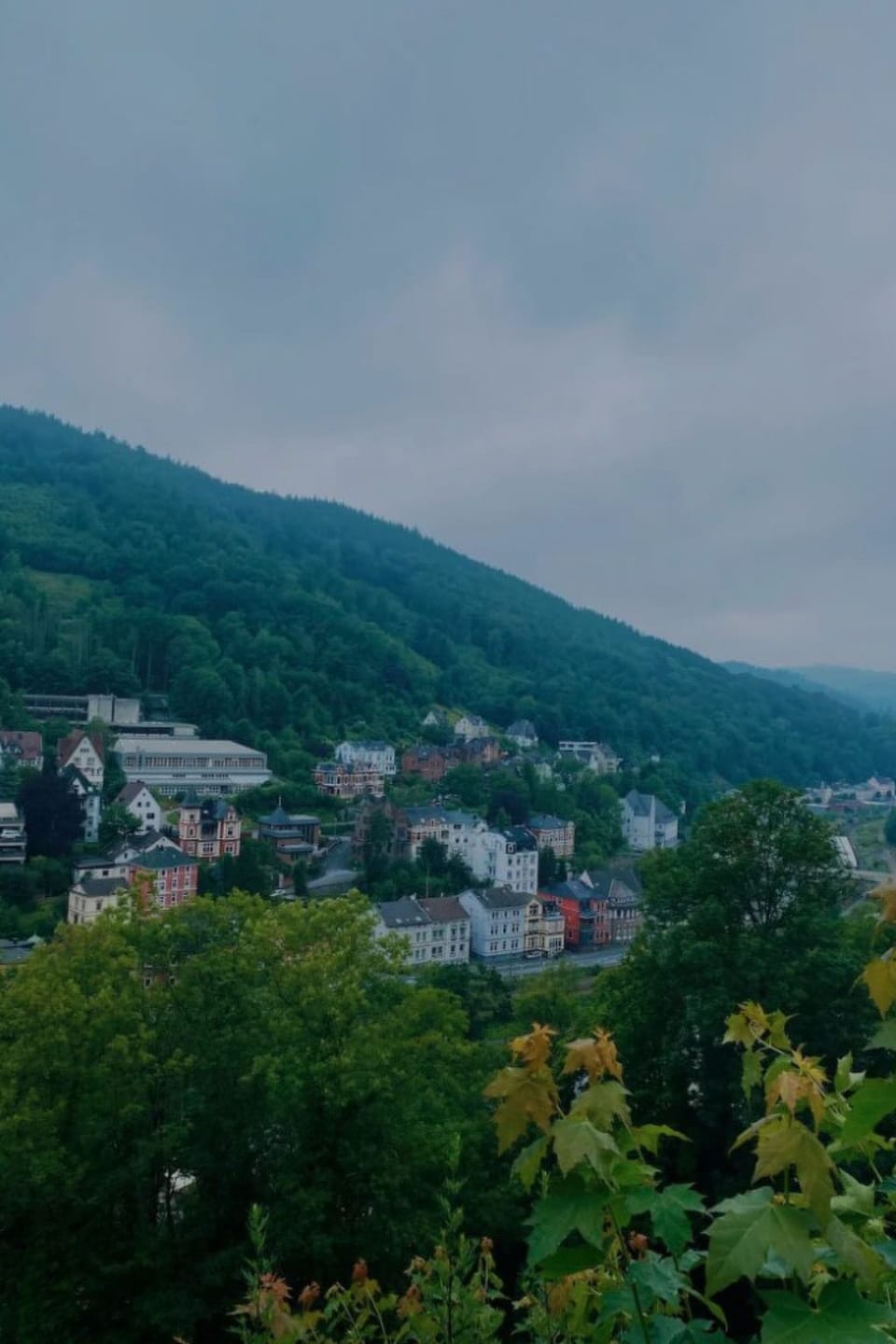 View