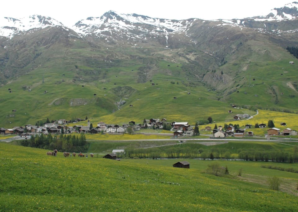 View