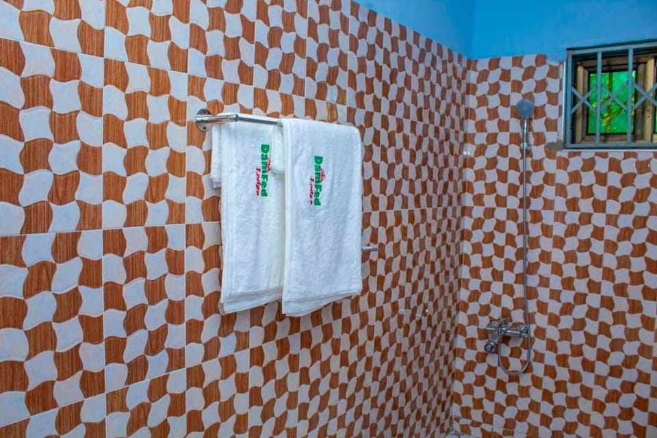 Towels, soap, shampoo, toilet paper