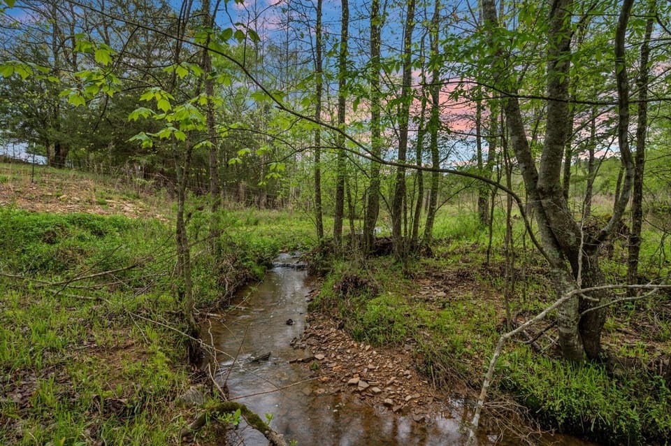 Seasonal creek runs behind cabin