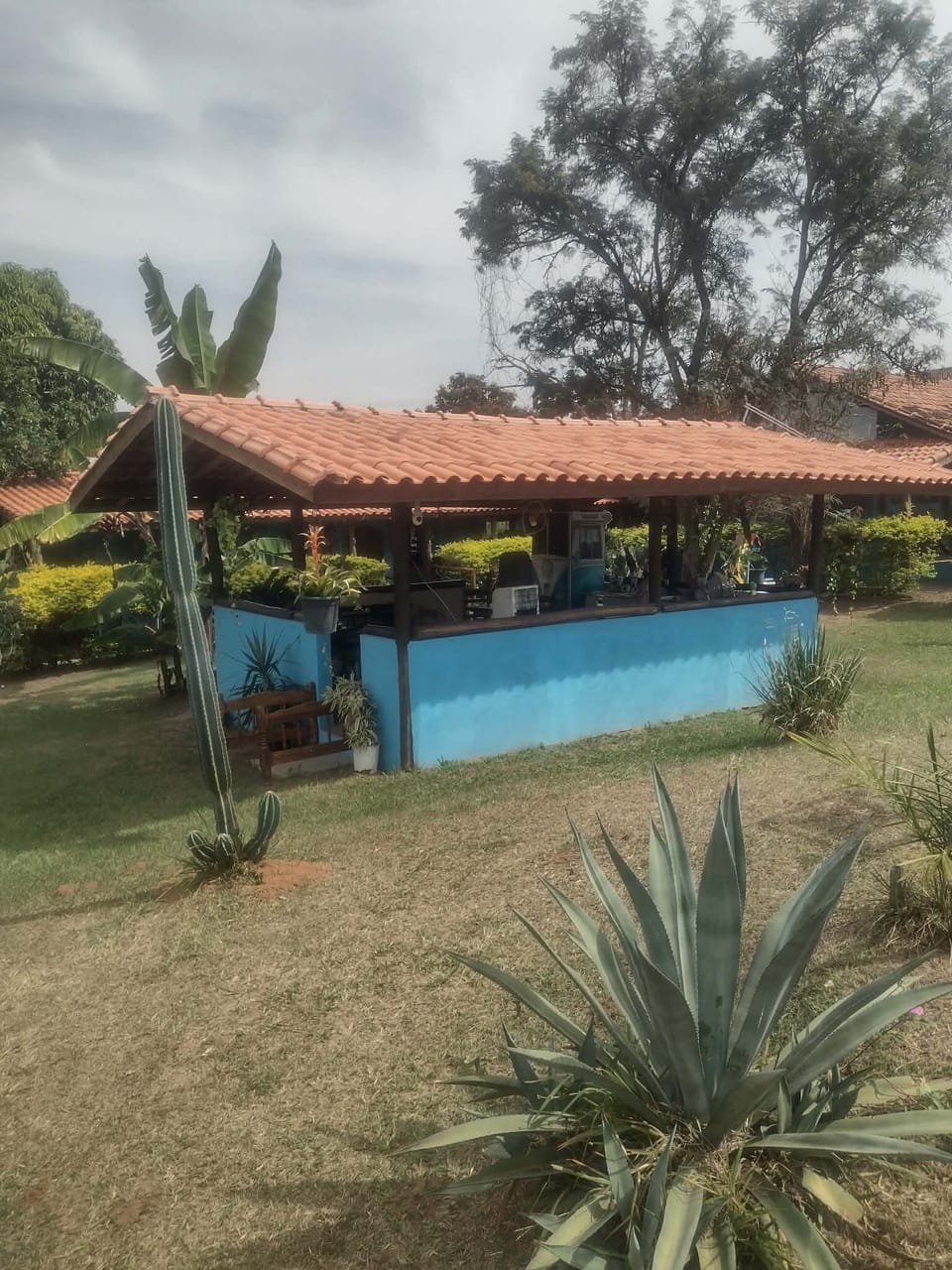 Standard Chalet | Property grounds