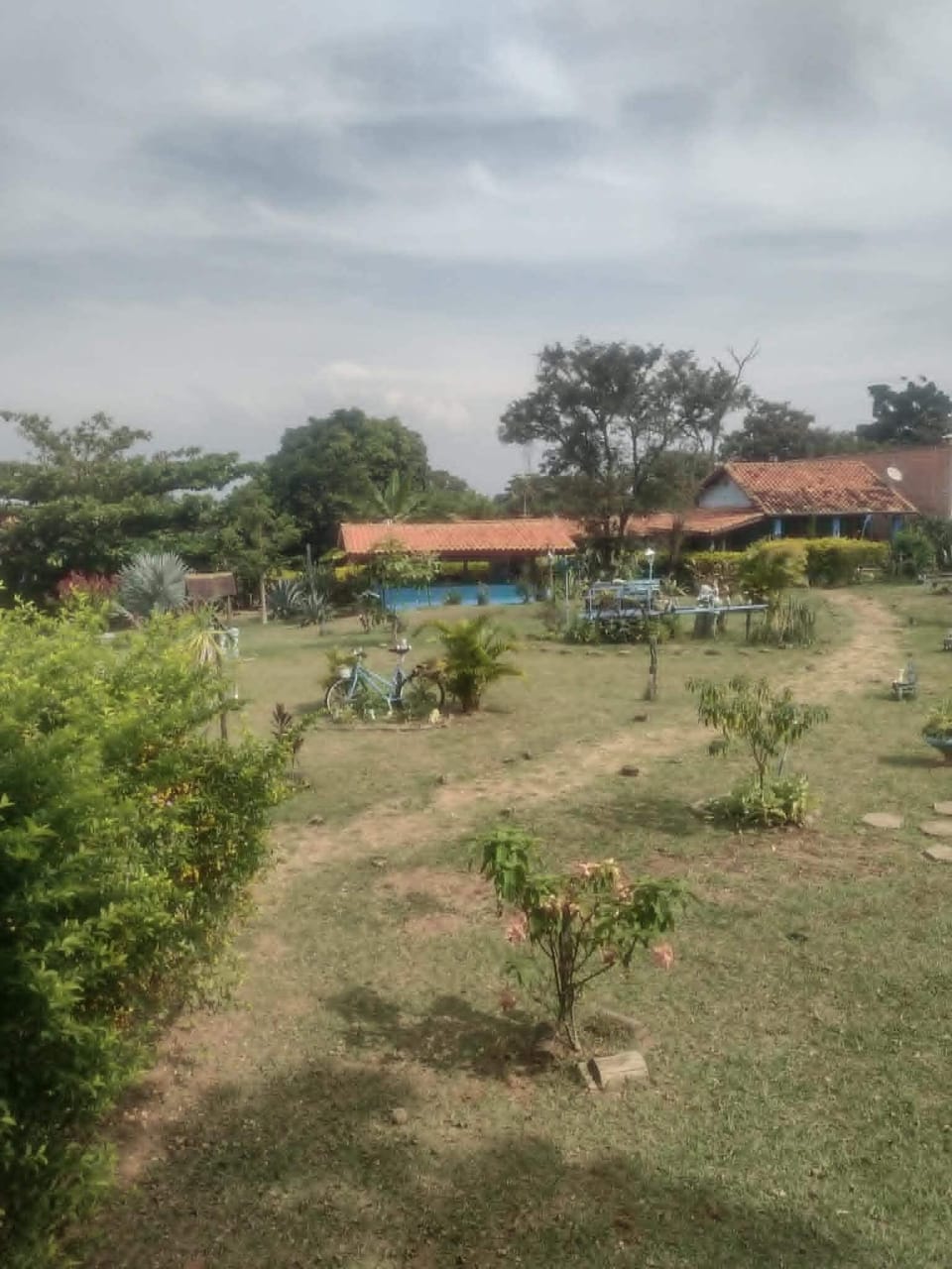 Standard Chalet | Property grounds