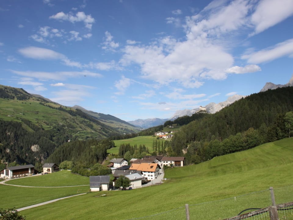 View