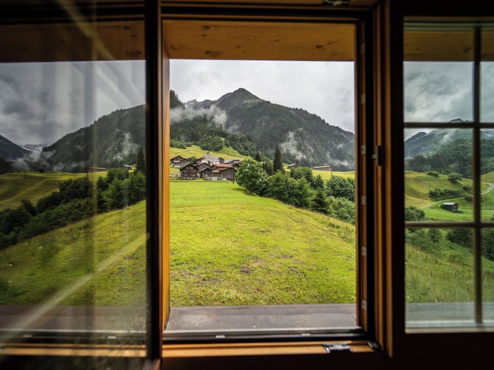 View