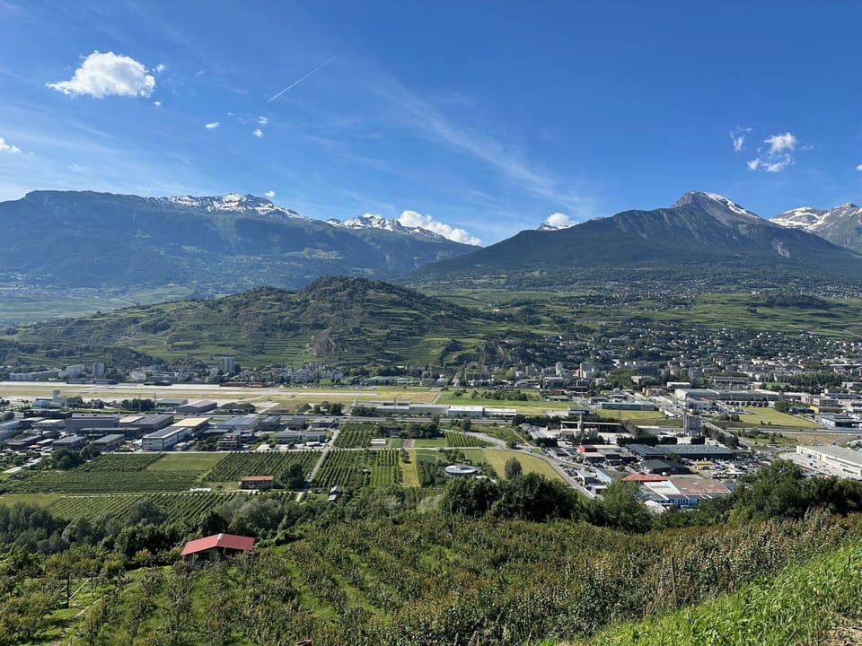 View