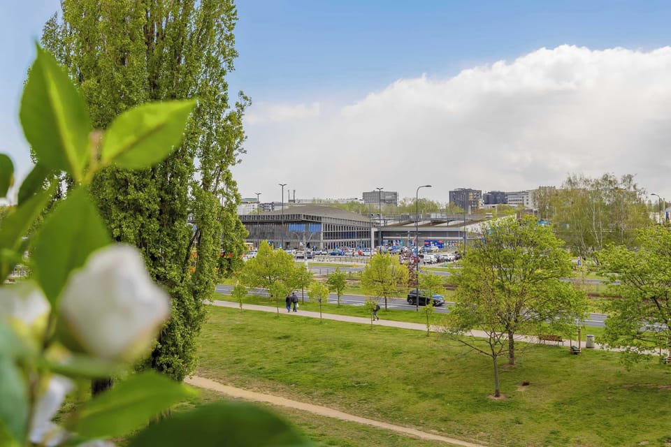 A close-up view of greenery on the balcony, with a cityscape visible in the background. The scene combines nature with an urban setting.