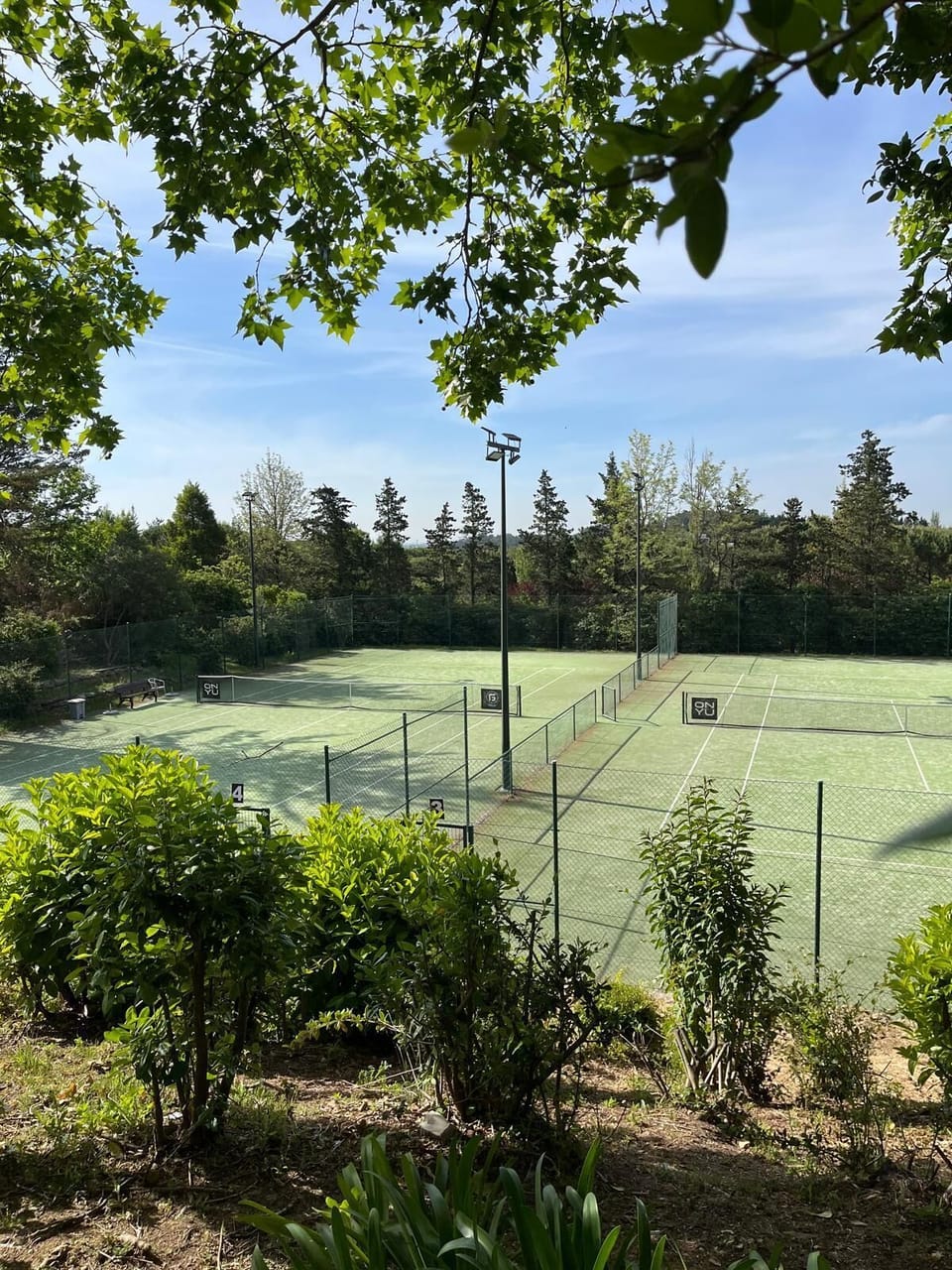 Sport court