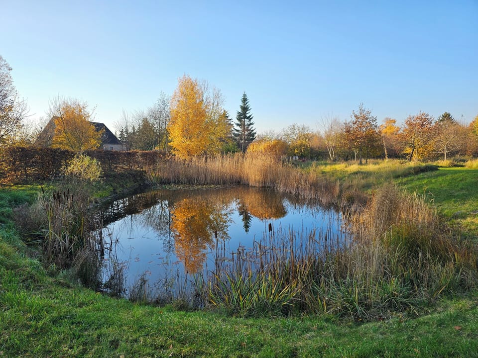 Schloss Schmarsow Bed and Breakfast in Mecklenburgische Seenplatte