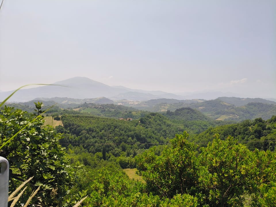 View from property