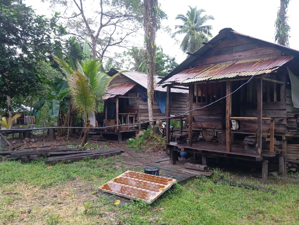 Cabin, 1 Bedroom, Accessible, Smoking | Property grounds