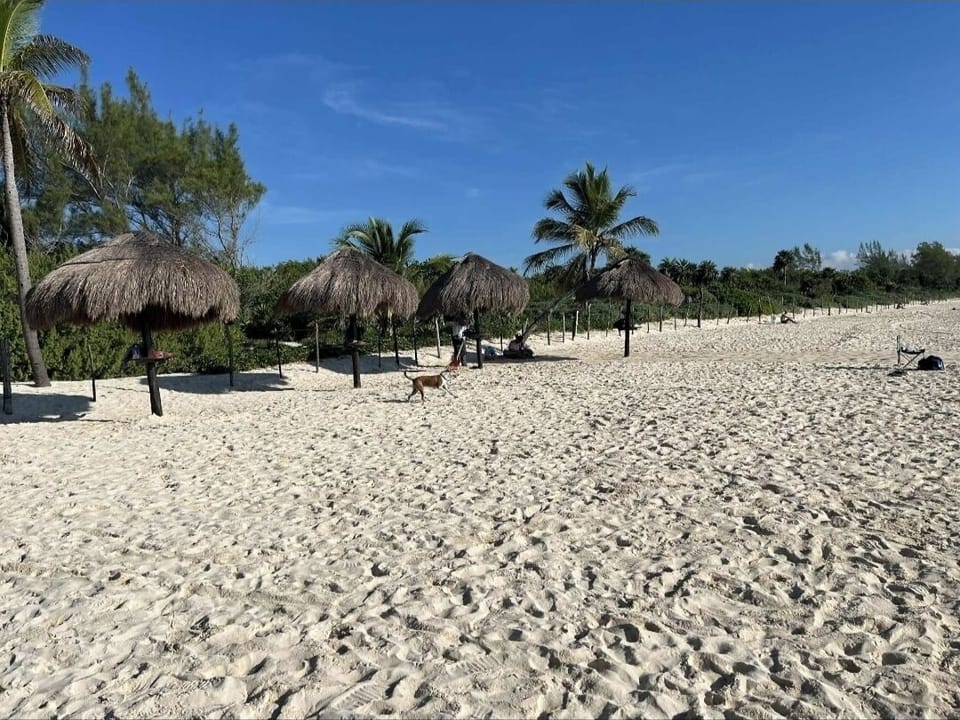 Beach