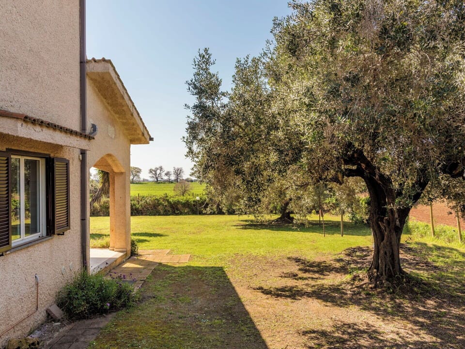 Estate, Lawn, Garden, Landscaping, Shade, Backyard, Yard, Farmhouse, Villa