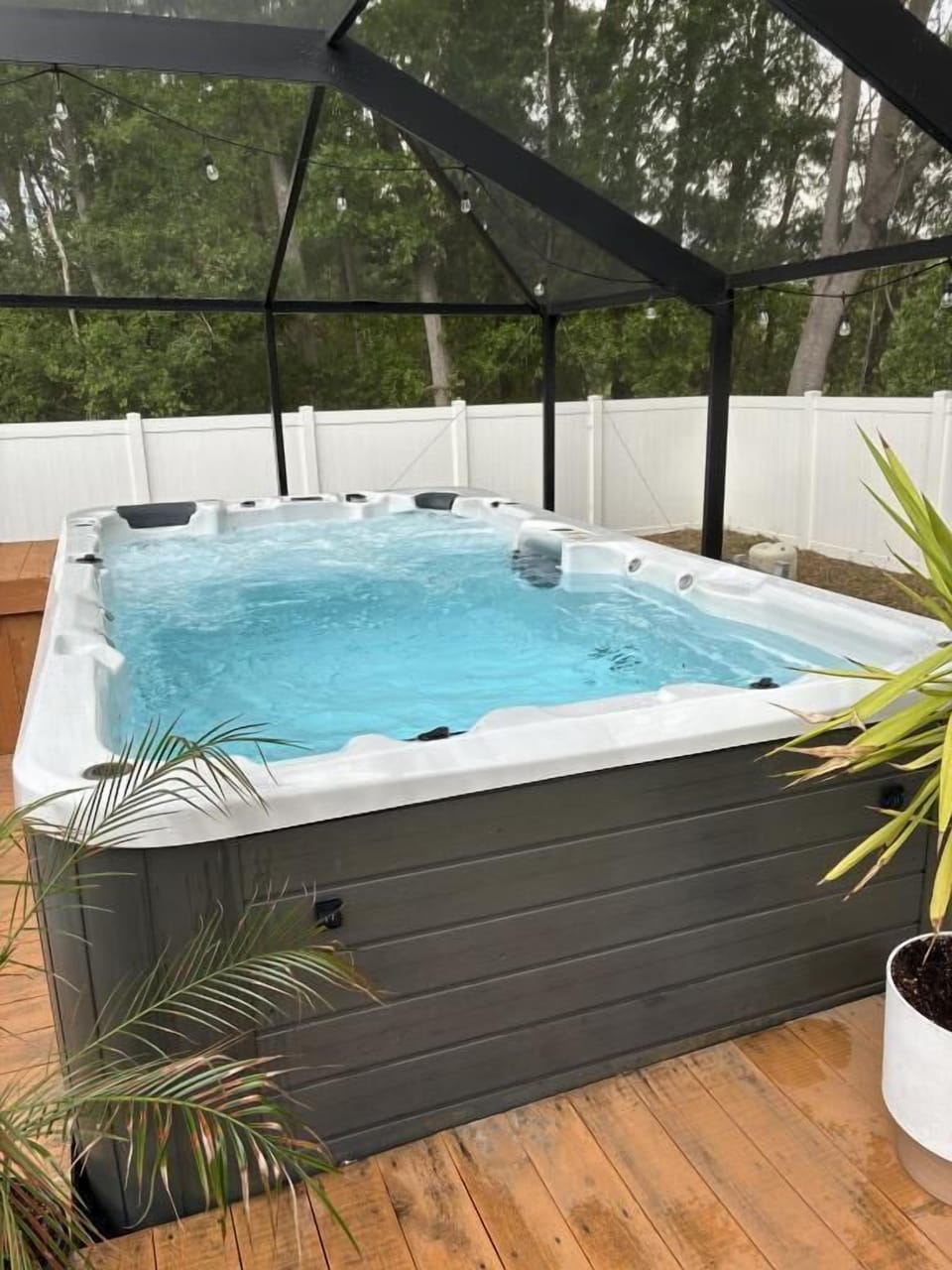 Swim SPA