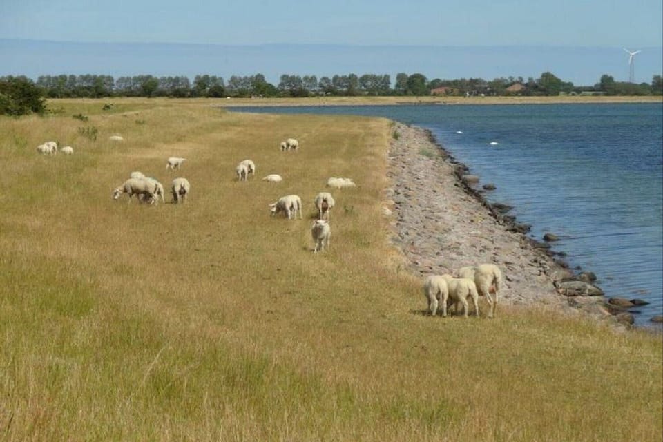 Surroundings [summer] (1-5 km)