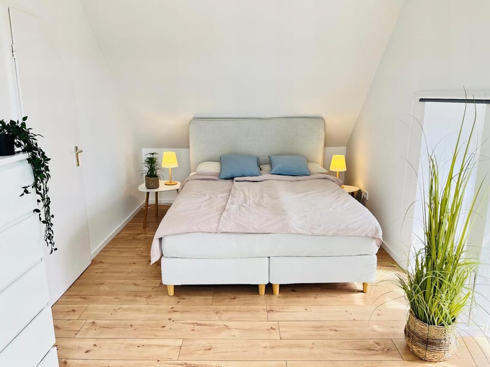 Apartment | 2 bedrooms