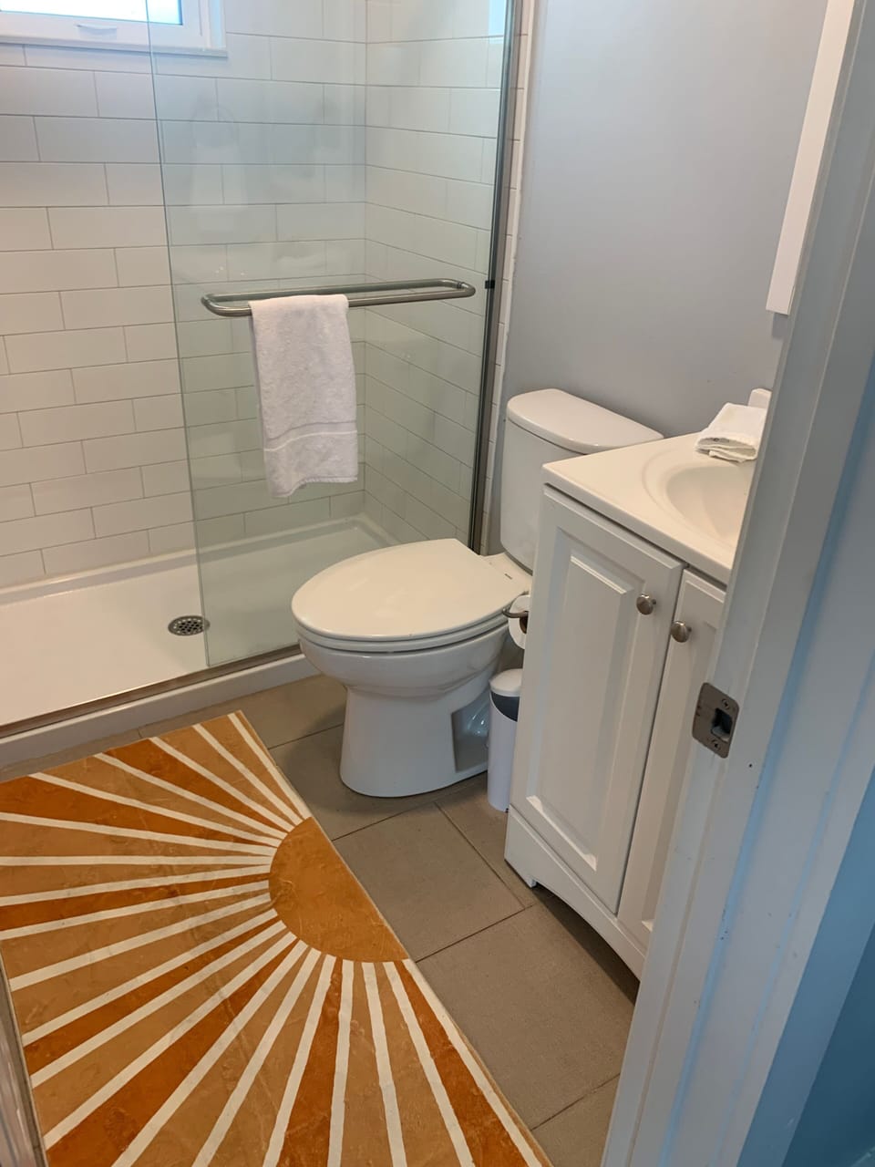 Bathroom featuring a glass walk-in shower, toilet, and vanity with a patterned rug.