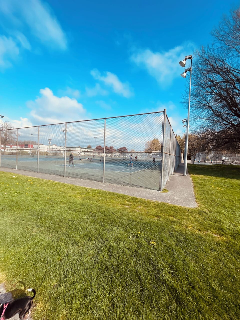 Sport court