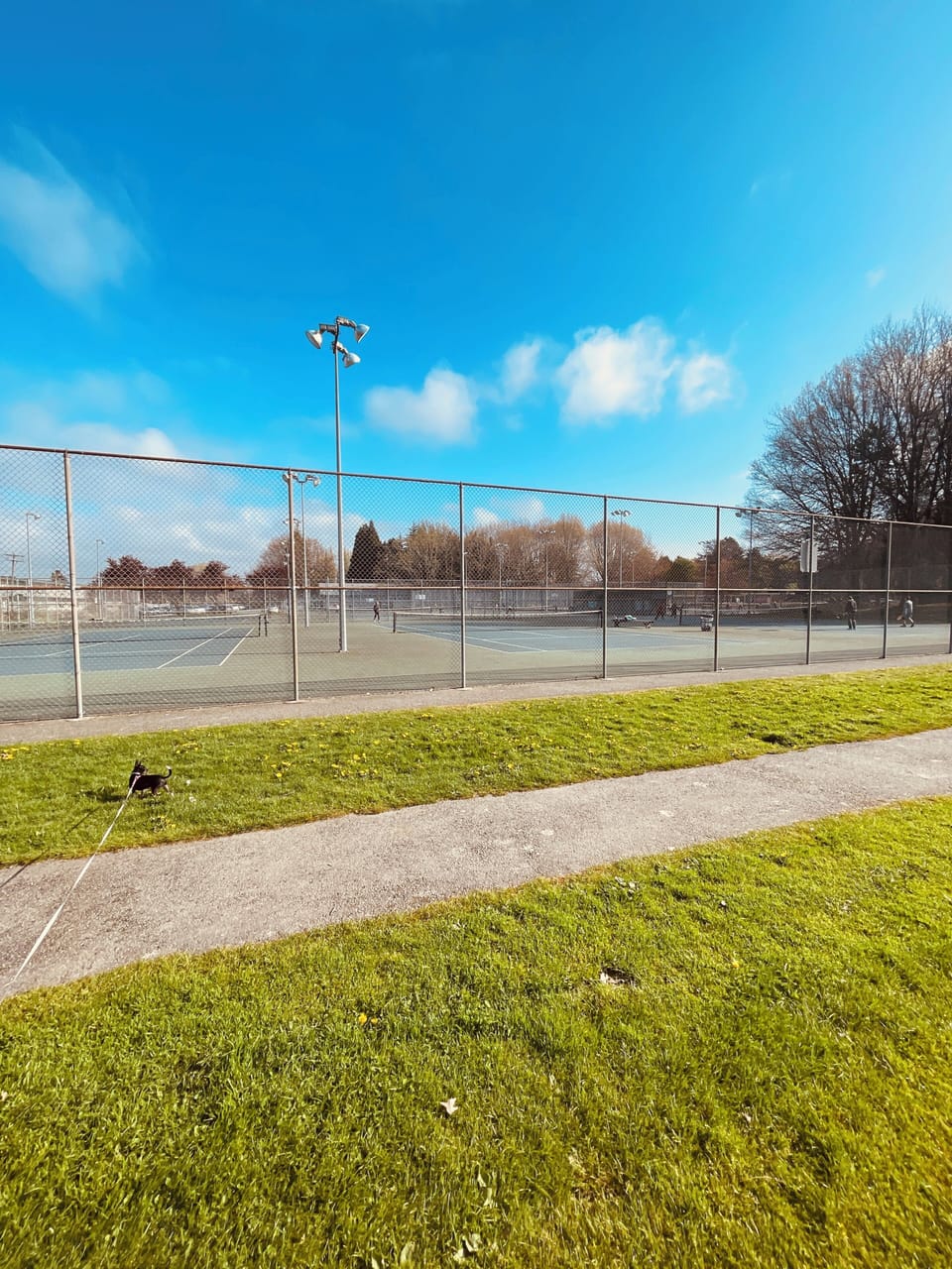 Sport court