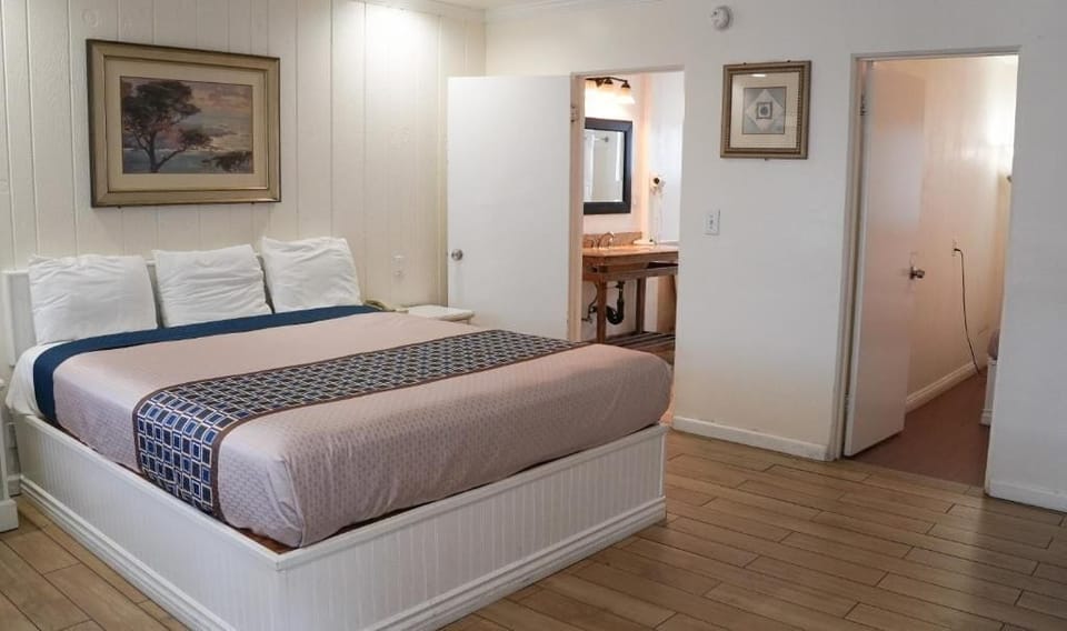 Double or Twin Room | Desk, iron/ironing board, free WiFi
