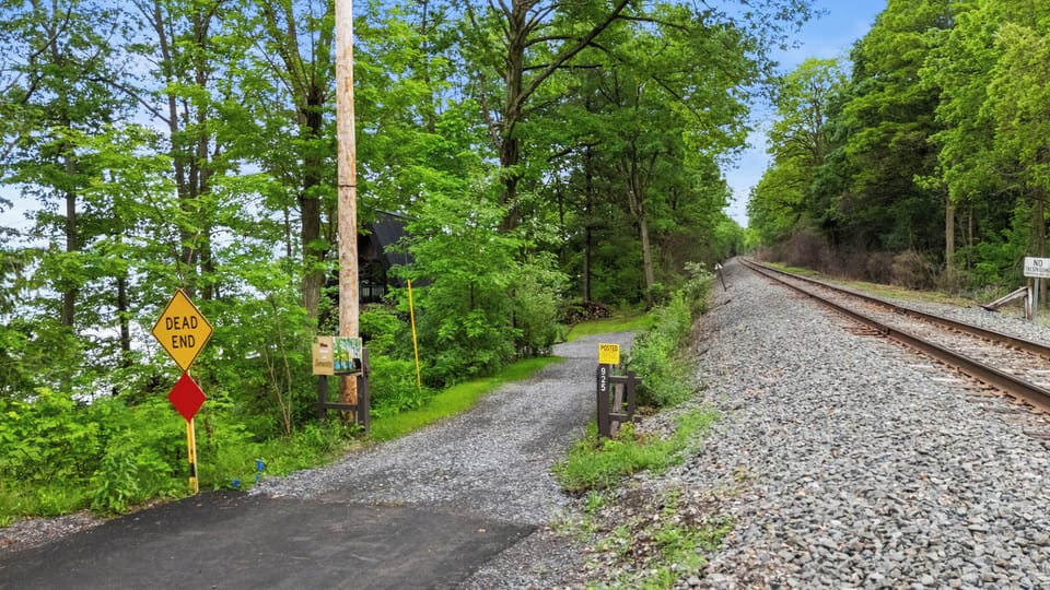 Gravel driveway surrounded by trees
