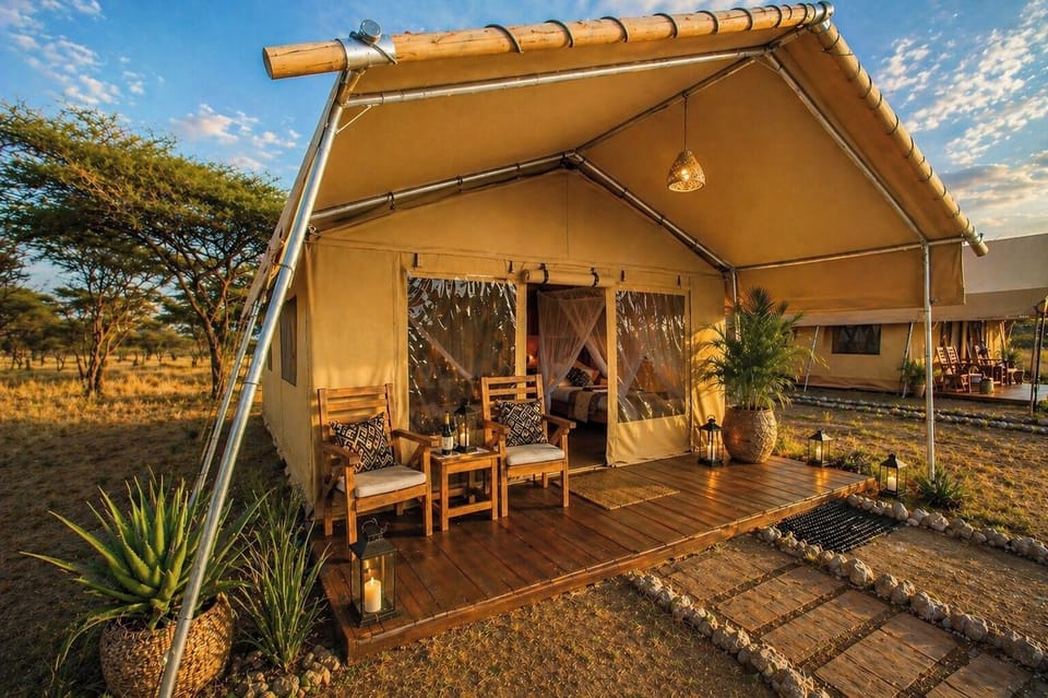 Deluxe Tent | Terrace/patio